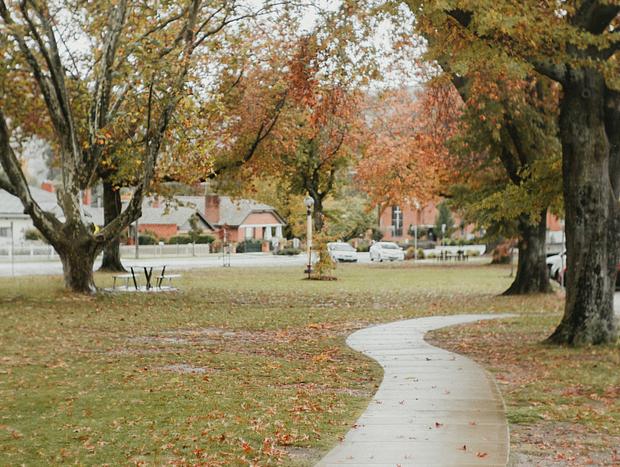 Photo 5 for The Triangle Park