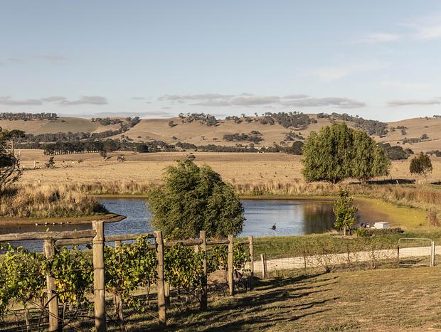 Photo 7 for Homestead at Cleveland Estate