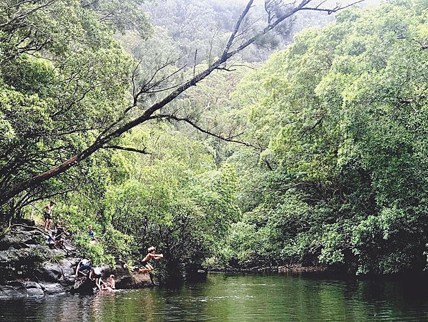 Photo 4 for Clancy Cottage in Wangat wildlife sanctuary