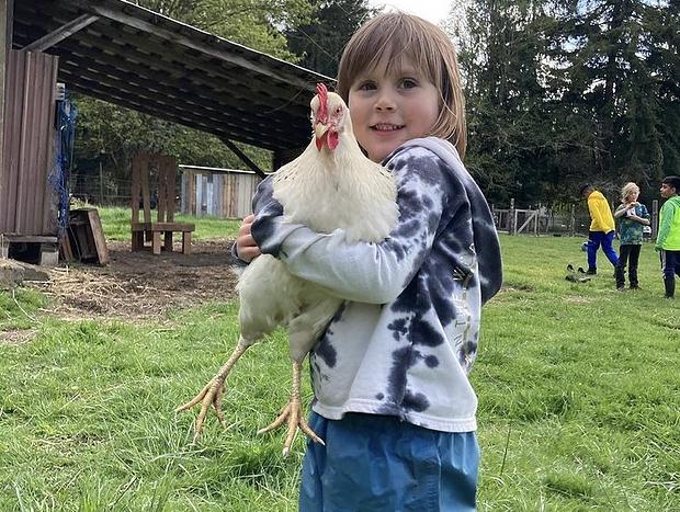 Photo 10 for Forest Camping with Farm Animals