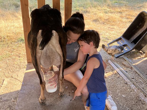 Photo 14 for Forest Camping with Farm Animals