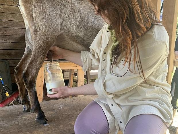 Photo 17 for Forest Camping with Farm Animals