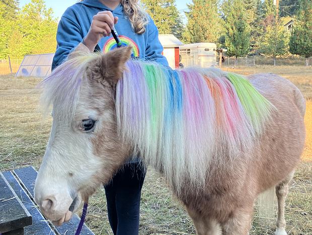 Photo 15 for Forest Camping with Farm Animals