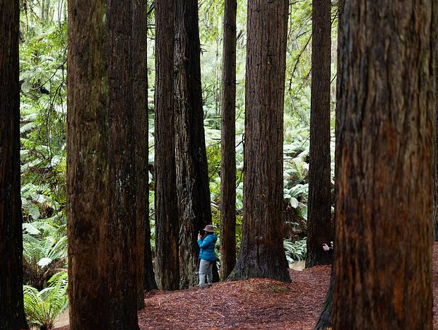 Photo 4 for undefined