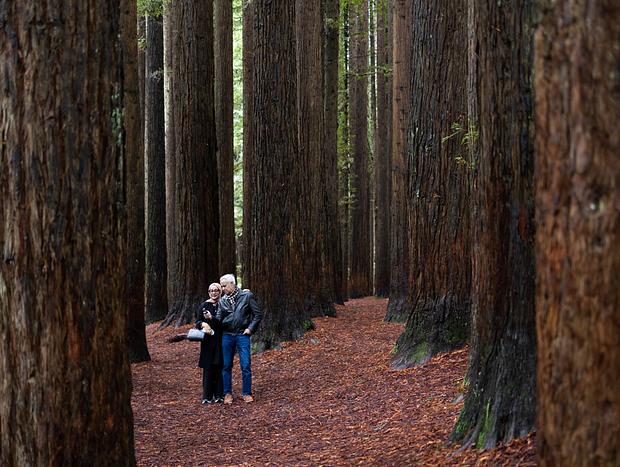 Photo 5 for undefined