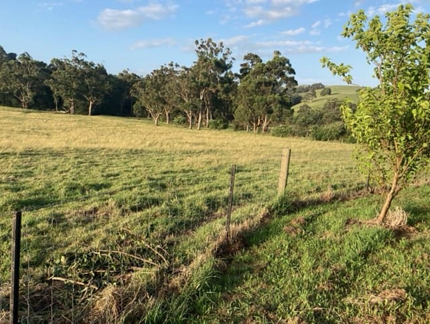 Photo 61 for Citrus Grove: private/architectural/dog-friendly/views/acreage