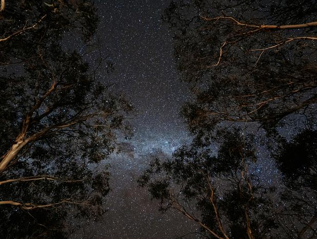 Photo 2 for Stargazing