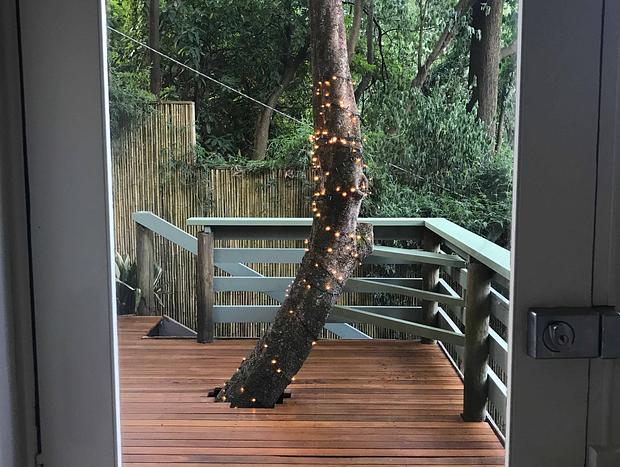Photo 20 for Sassafras - Treehouse in the Dandenong Ranges