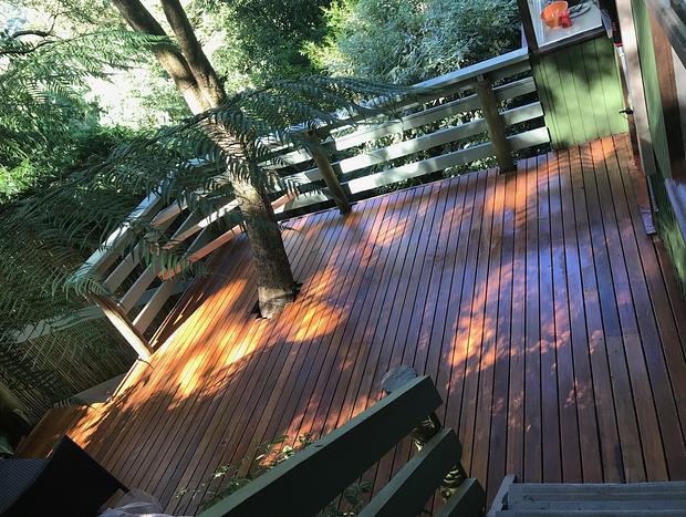 Photo 22 for Sassafras - Treehouse in the Dandenong Ranges