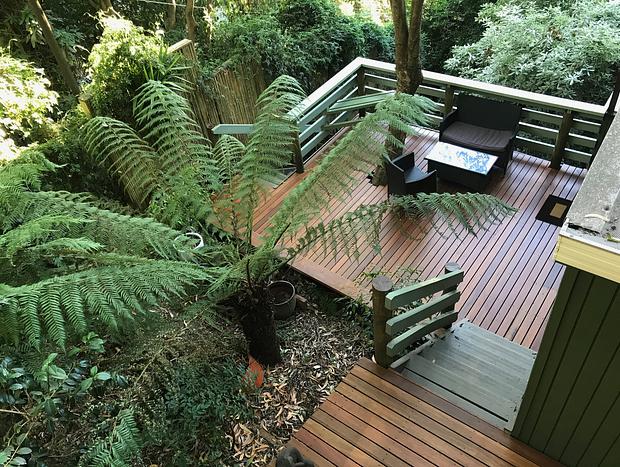 Photo 25 for Sassafras - Treehouse in the Dandenong Ranges