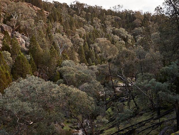 Photo 2 for Getting of the beaten track at Barry Falls