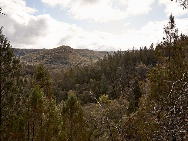 Photo 3 for Getting of the beaten track at Barry Falls