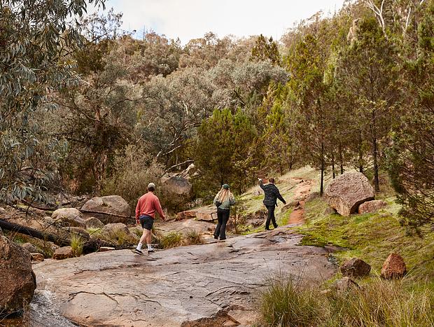Photo 4 for Getting of the beaten track at Barry Falls