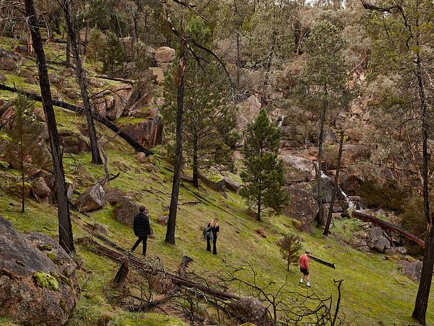 Photo 5 for Getting of the beaten track at Barry Falls