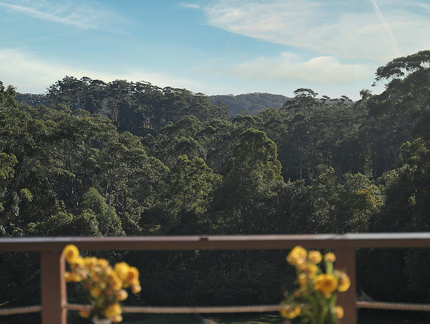 Photo 10 for Coastie Tinyhouse, Bathtub + Balcony, Terrigal.