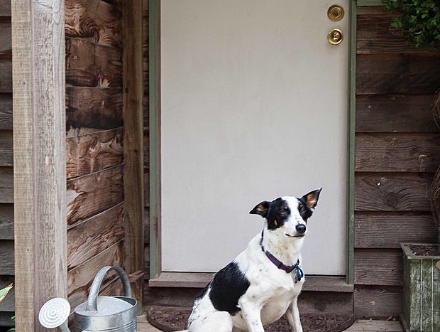 Photo 16 for Gooseberry Hill Cottage