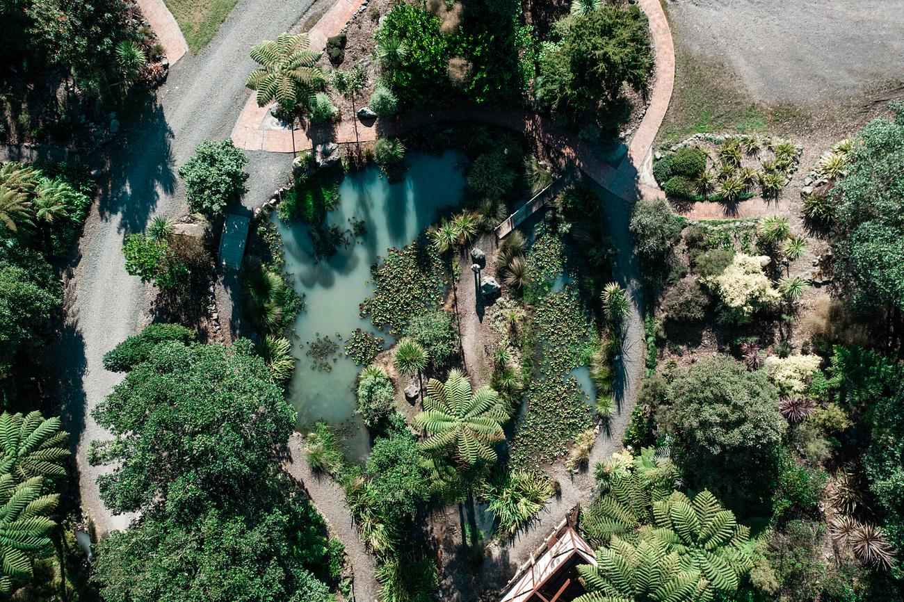 Explore Te Puna Quarry Park Riparide