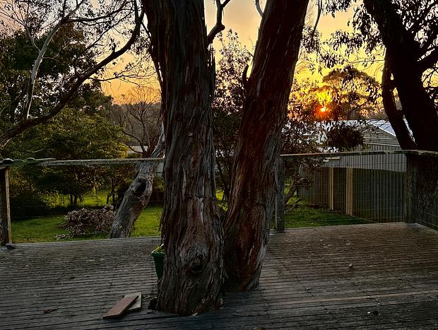 Photo 19 for Bung Yarnda Beach Retreat