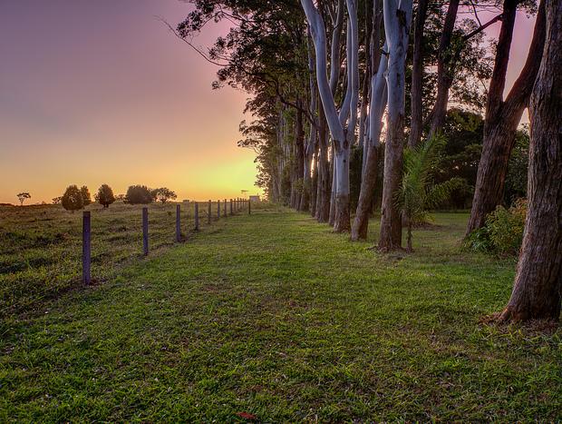 Photo 6 for Thinami Retreat - Hinterland Getaway