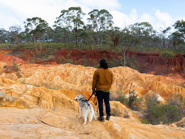 Photo 1 for Pink Cliffs Reserve