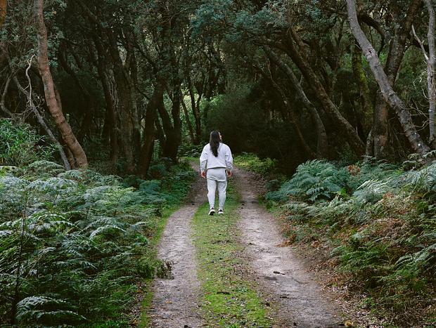 Photo 1 for Native Forest