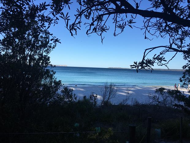 Photo 20 for Tree Top Lodge with Bay Views