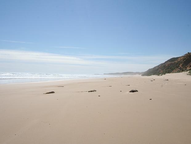 Photo 19 for Beekeepers Ocean Front 640 Acre Sanctuary
