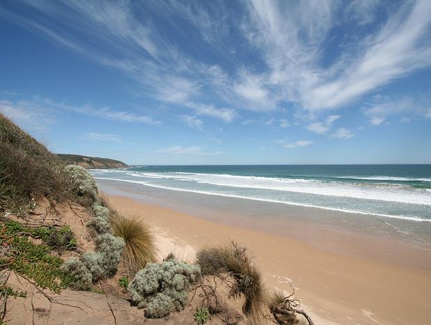 Photo 20 for Beekeepers Ocean Front 640 Acre Sanctuary