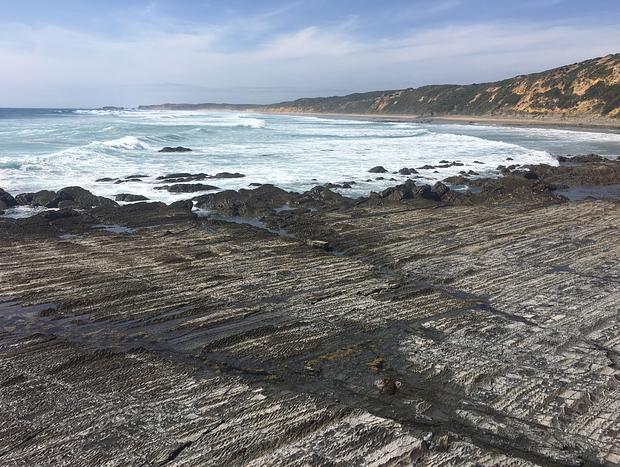 Photo 21 for Beekeepers Ocean Front 640 Acre Sanctuary