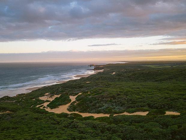 Photo 14 for Beekeepers Ocean Front 640 Acre Sanctuary
