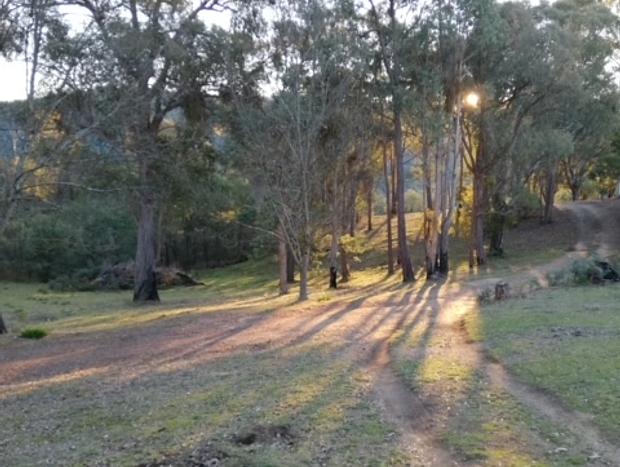 Photo 6 for BurrowyeBush Retreat