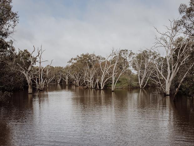 Photo 2 for Lake Eppalock