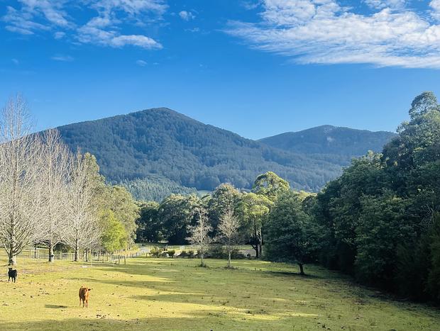 Photo 21 for Tiny House with big mountain views | Leith Hill ~ East Warburton