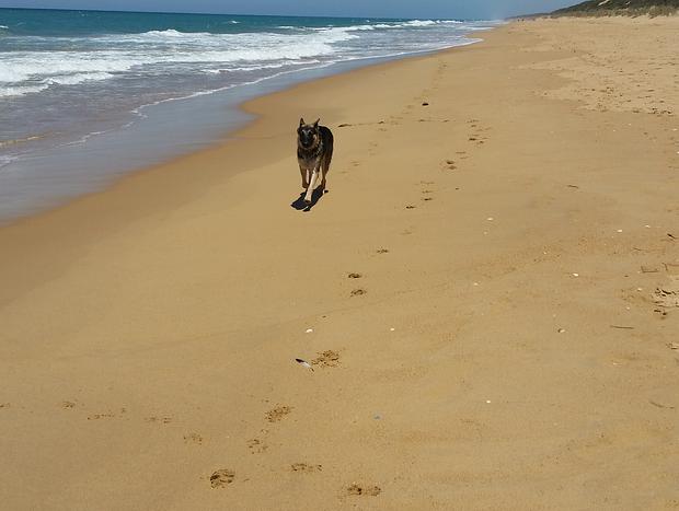 Photo 12 for Golden Beach Holiday House