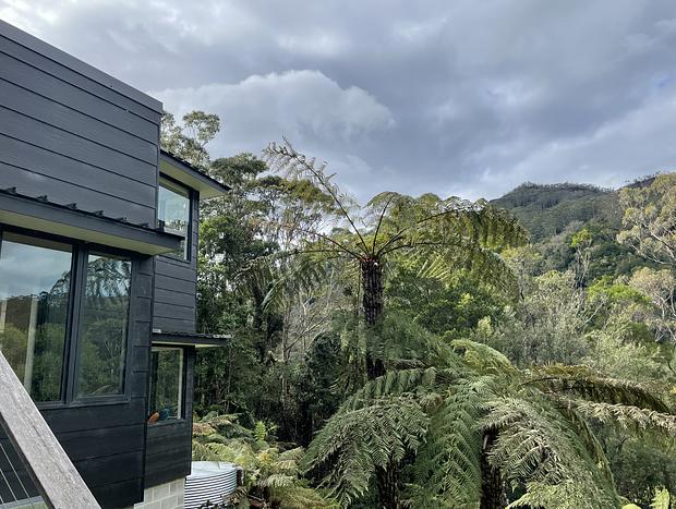 Photo 9 for PencilWood farm a rainforest sanctuary