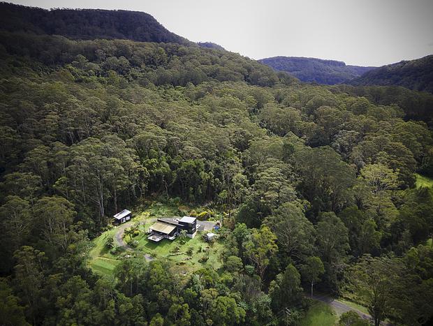 Photo 18 for PencilWood farm a rainforest sanctuary