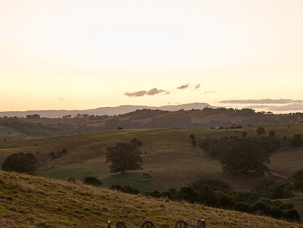 Photo 16 for Eco-luxe living in Byron's charming Hinterland