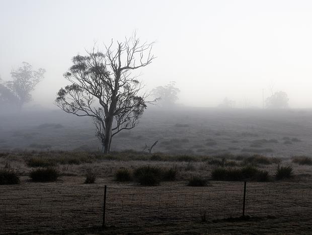 Photo 4 for Natures Finest