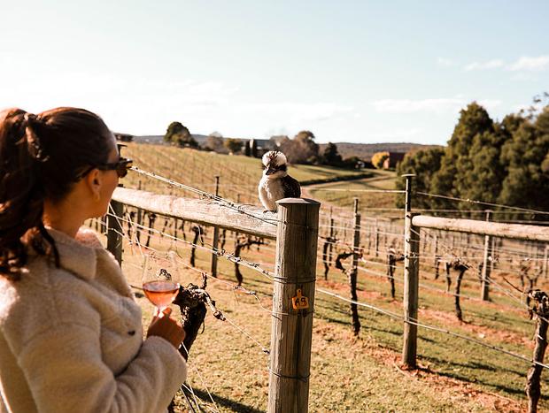 Photo 14 for The Nest @ Carrajung Estate