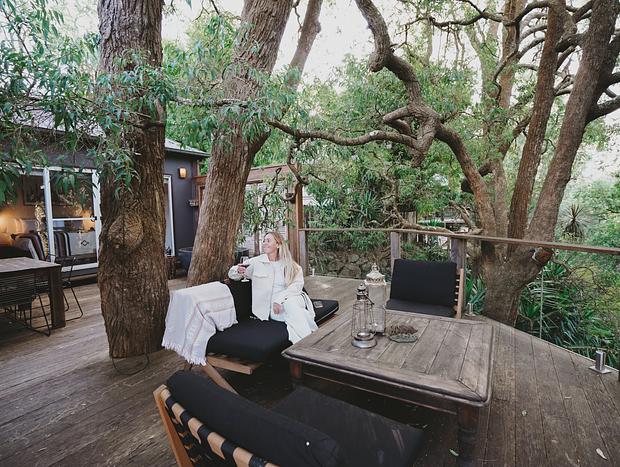 Photo 2 for In the Canopy