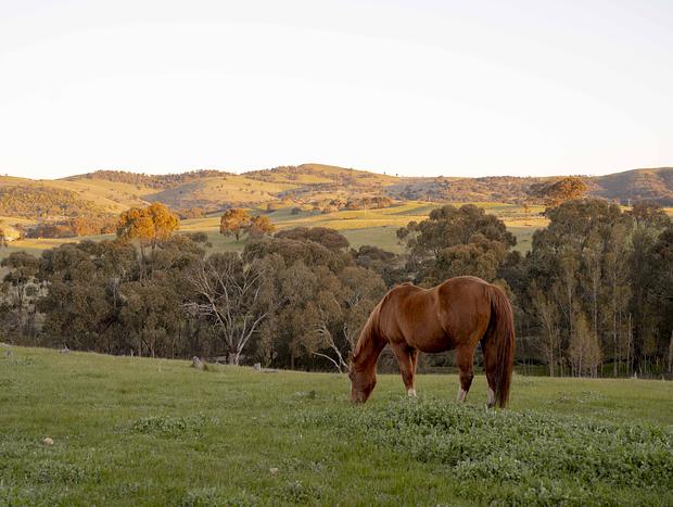Photo 7 for Hilltop Haven
