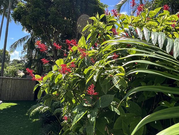 Photo 58 for Beach Jungle: Hot Tub, Firepit & Pool in Pet-Friendly Seaside Oasis