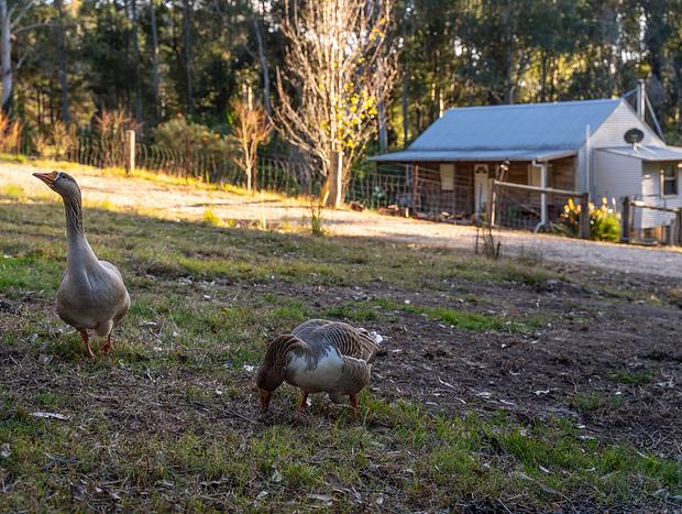 Photo 26 for Spacious Luxury Log Cabin Near Beach - dog-friendly & private at Bawley Ridge Farm