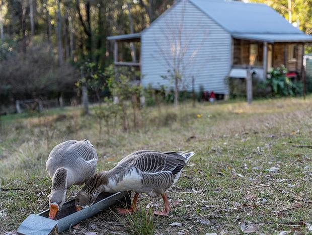 Photo 25 for Spacious Luxury Log Cabin Near Beach - dog-friendly & private at Bawley Ridge Farm