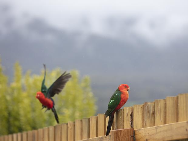 Photo 4 for High Country Eco Home with Sweeping Mountain Views