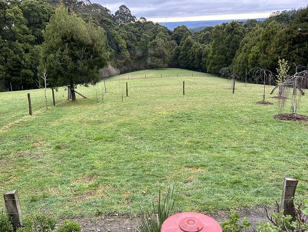 Photo 39 for Unplug and Reconnect at Kellyran Country House!