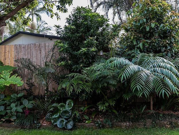 Photo 44 for Beach Jungle: Pool, Hot Tub & Fire Pit in Beachside Hideaway
