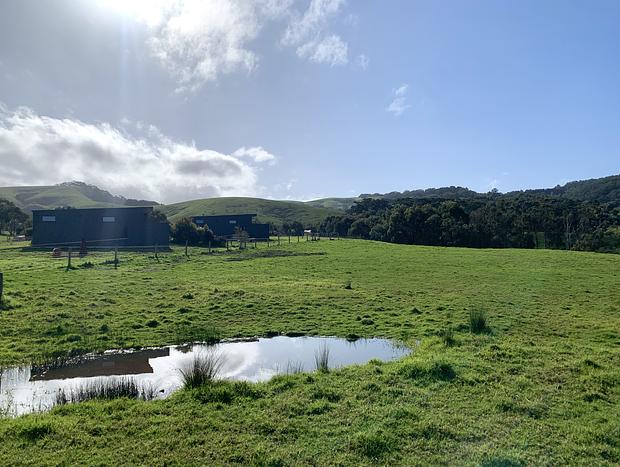Photo 27 for Tiny Stevie Dog Friendly - Apollo Bay Tiny Stays - Farm Stay