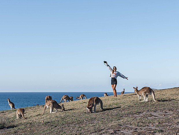 Photo 1 for Kangaroos on a headland