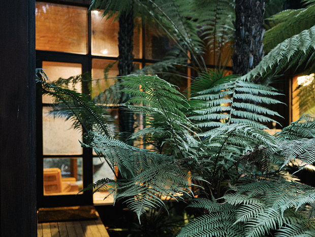 Photo 10 for Bush House in the Dandenong Ranges